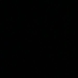 Meet your Posher, Marilyn